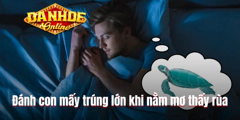 Đánh con mấy trúng lớn khi nằm mơ thấy rùa